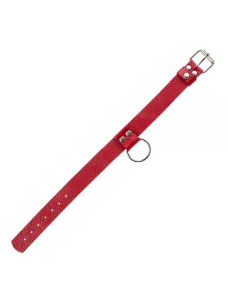 Нашийник Ring of Humiliti, Red
