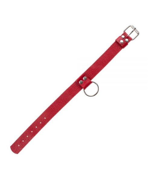 Нашийник Ring of Humiliti, Red