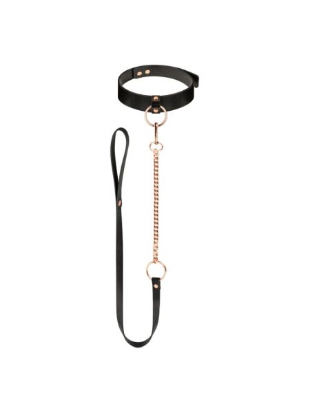 Нашийник з повідцем Rosy Gold - Collar with Leash - Black
