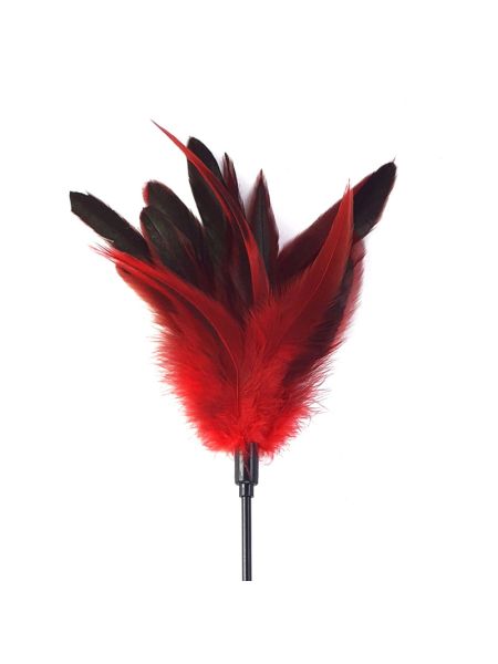 Лоскітка з пером півня Art of Sex – Feather Paddle, червона