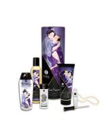 Подарунковий набір Shunga CARNAL PLEASURES: 6 елементів пристрасної ночі