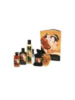 Подарунковий набір Shunga Sweet Kisses Kit