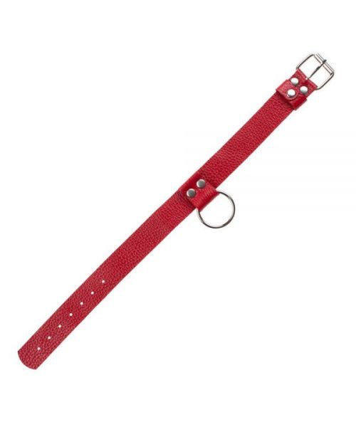 Нашийник Ring of Humiliti Red