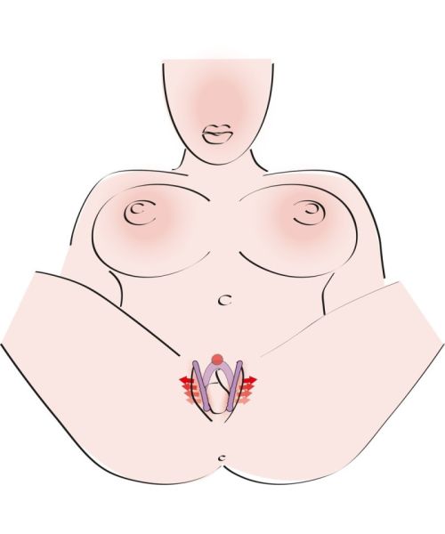 Стимулятор G-точки - G-spot Labia Spreader