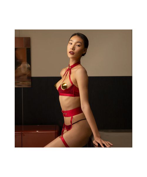 Комплект білизни UPKO Lingerie Set із золотими пестісами, червоний, One Size