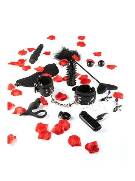 Набір секс іграшок Toy Joy Amazing Pleasure Sex Toy Kit