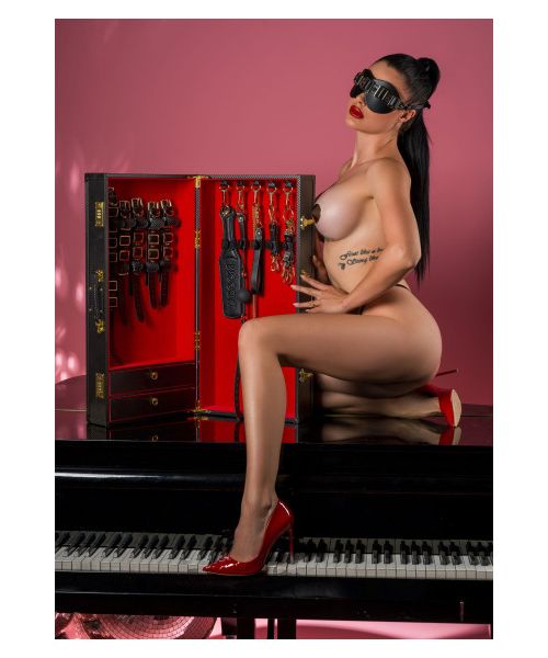 Шафа-валіза для БДСМ-аксесуарів TABOOM Desires Masterpiece Case, 11 предметів