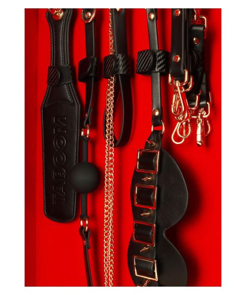 Шафа-валіза для БДСМ-аксесуарів TABOOM Desires Masterpiece Case, 11 предметів
