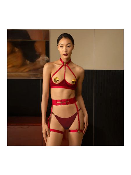 Комплект білизни UPKO Lingerie Set із золотими пестісами, червоний, One Size