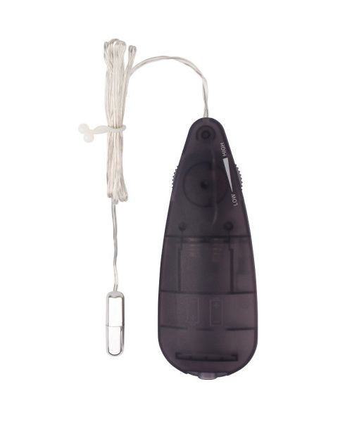 Віброкулька Chisa Hi-Basic Mini Bullet з пультом керування, срібляста