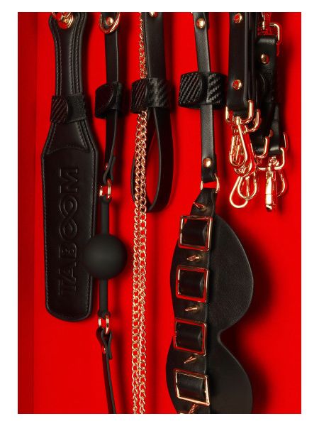 Шафа-валіза для БДСМ-аксесуарів TABOOM Desires Masterpiece Case, 11 предметів