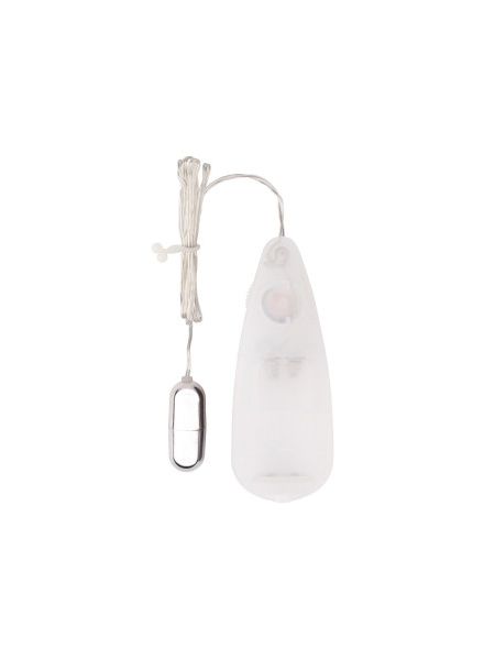 Вибропуля серебристая Chisa Hi-Basic Be Mine Bullet Vibrator на белом пульте управления